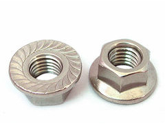 SS FLANGE NUTS